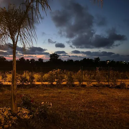 Couette-café Galaxy Tropea 4*