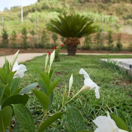 Galaxy Tropea Bed & Breakfast