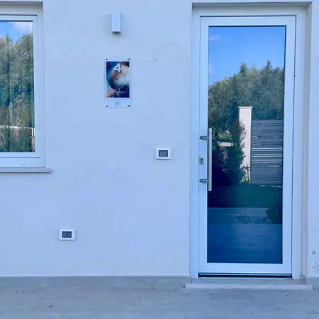 Galaxy Tropea Bed & Breakfast Drapia