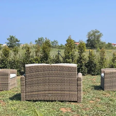 Galaxy Tropea Drapia