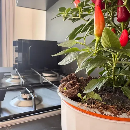 Galaxy Tropea Bed & Breakfast Drapia