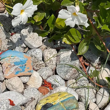 Couette-café Galaxy Tropea Drapia