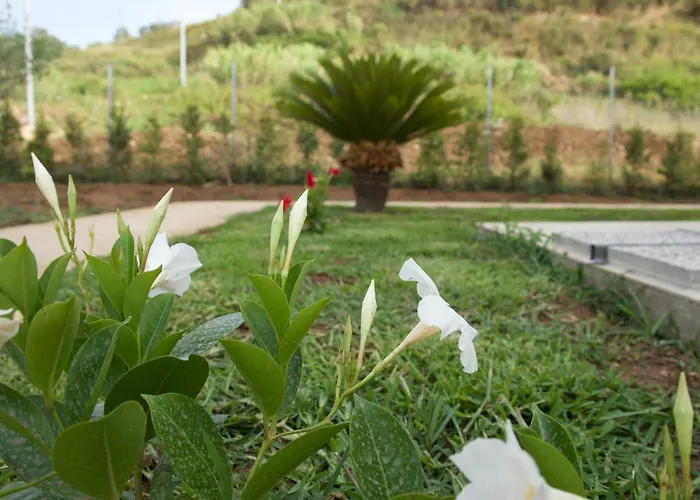 Galaxy Tropea 住宿加早餐酒店