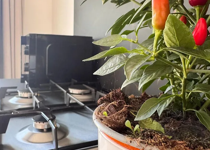 Galaxy Tropea 住宿加早餐酒店 Drapia